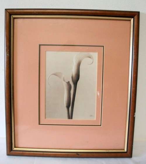 **RS17** 3 fantastic vintage prints framed behind glass of Lilies. Stunning in all areas. Bid/print