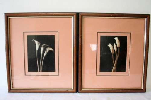 **RS17** 2 vintage signed prints framed behind glass of Lilies. Stunning in all areas. Bid/price