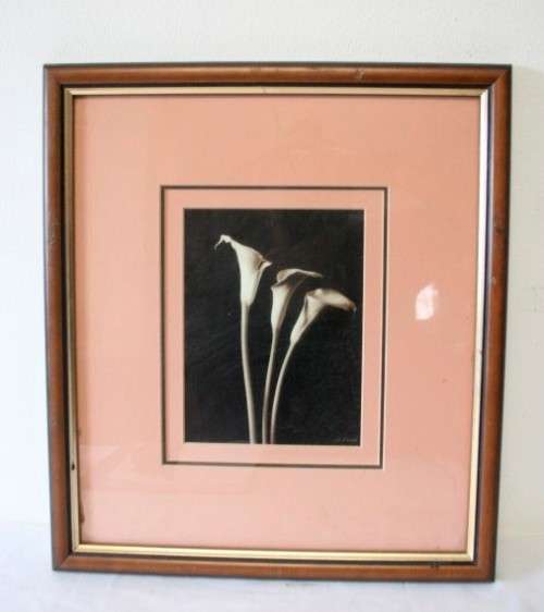 **RS17** 2 vintage signed prints framed behind glass of Lilies. Stunning in all areas. Bid/price