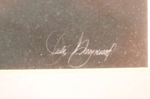 **RS17** 2 vintage signed prints framed behind glass of Lilies. Stunning in all areas. Bid/price