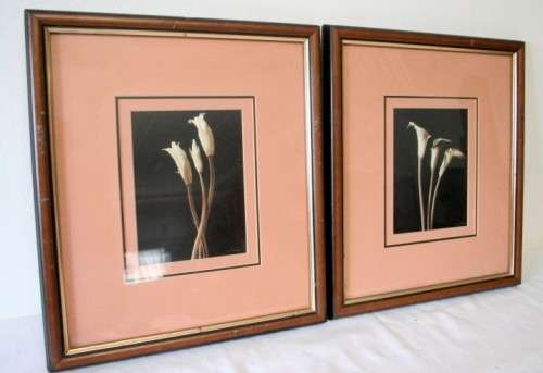 **RS17** 2 vintage signed prints framed behind glass of Lilies. Stunning in all areas. Bid/price