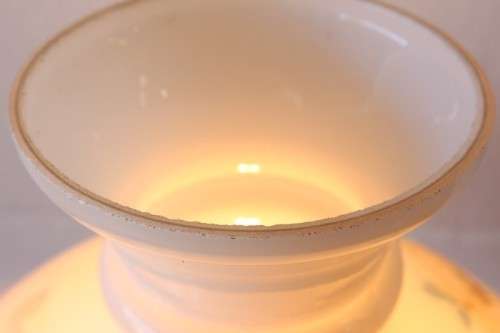A stunning vintage milk-glass table lamp with floral transfer work on a brass tone metal base