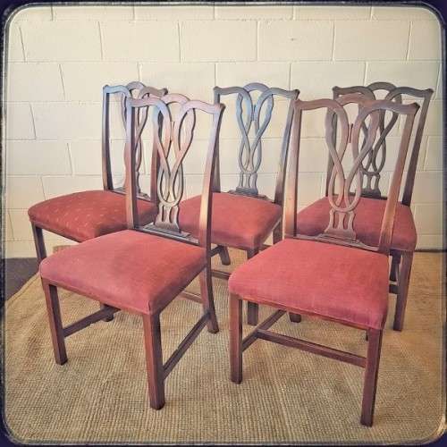 **RS17** An awesome set of five vintage upholstered carved Mahogany square-back dining chairs