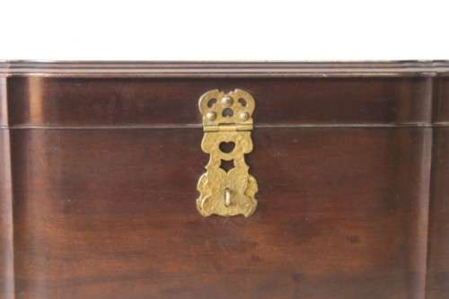 Gorgeous & solidly built solid stinkwood ball & claw kist w/ a smalls shelf & brass embellishments