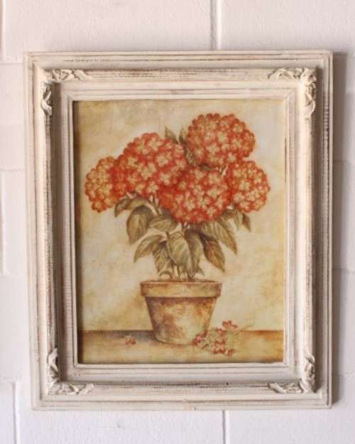 **RS17** A pair of whitewashed framed botanical prints incl red tulips and red & white hydrangea