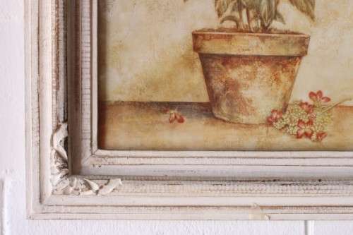 **RS17** A pair of whitewashed framed botanical prints incl red tulips and red & white hydrangea