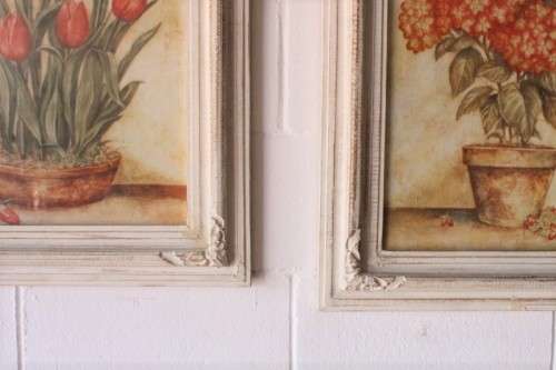 **RS17** A pair of whitewashed framed botanical prints incl red tulips and red & white hydrangea