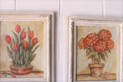 **RS17** A pair of whitewashed framed botanical prints incl red tulips and red & white hydrangea