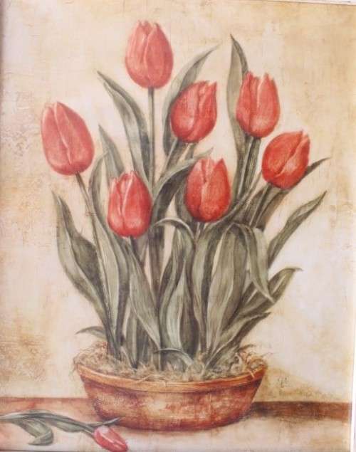 **RS17** A pair of whitewashed framed botanical prints incl red tulips and red & white hydrangea
