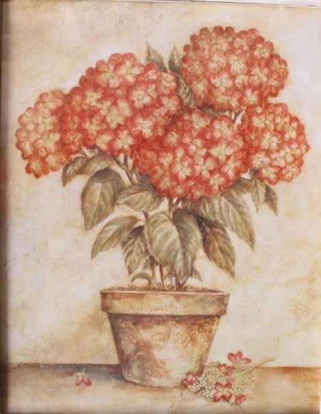 **RS17** A pair of whitewashed framed botanical prints incl red tulips and red & white hydrangea