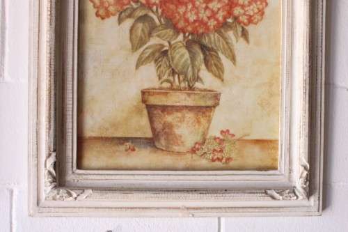 **RS17** A pair of whitewashed framed botanical prints incl red tulips and red & white hydrangea