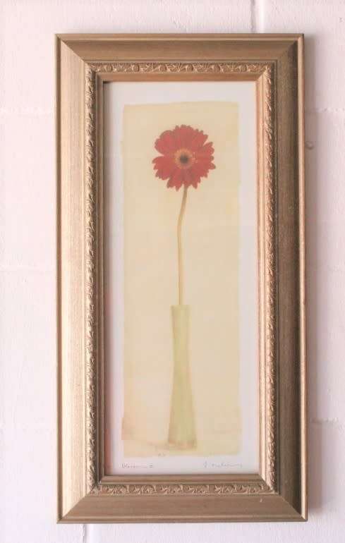 **RS17** A pair of framed (behind glass) single stem flowers in vases incl a tulip & a red daisy