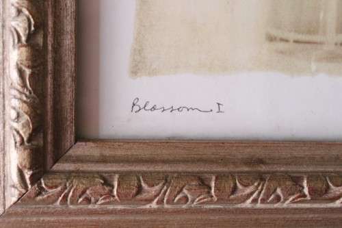 **RS17** A pair of framed (behind glass) single stem flowers in vases incl a tulip & a red daisy