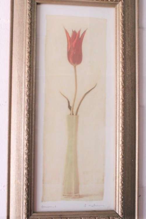 **RS17** A pair of framed (behind glass) single stem flowers in vases incl a tulip & a red daisy