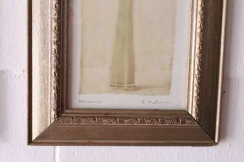 **RS17** A pair of framed (behind glass) single stem flowers in vases incl a tulip & a red daisy