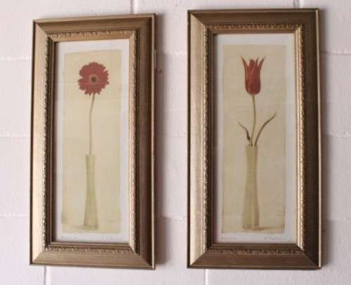 **RS17** A pair of framed (behind glass) single stem flowers in vases incl a tulip & a red daisy