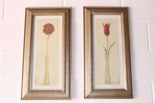 **RS17** A pair of framed (behind glass) single stem flowers in vases incl a tulip & a red daisy