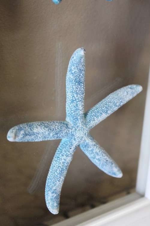 An awesome real "Starfish" on a glass panel in a white frame. Stunning in all homes!!