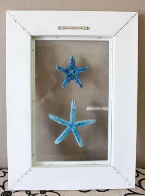 An awesome real "Starfish" on a glass panel in a white frame. Stunning in all homes!!