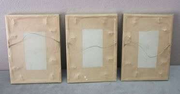 A lovely set of three small prints of roses in pretty frames. Lifespace Sale