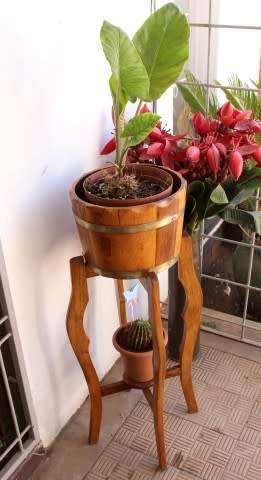 A superb vintage Teak double planter stand with a brass-ring bowl in wonderful condition.
