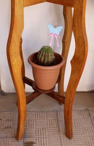 A superb vintage Teak double planter stand with a brass-ring bowl in wonderful condition.