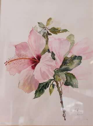 A very pretty watercolour painting of a pink hibiscus flower, gorgeous in any room!