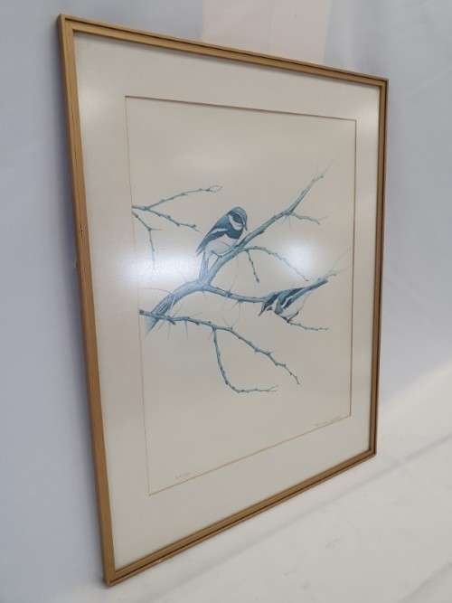 A beautiful limited wild bird print from South African artist, Bronwen Mellor! Xmas sale
