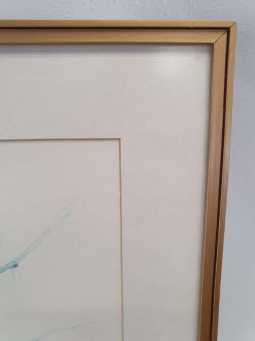 A beautiful limited wild bird print from South African artist, Bronwen Mellor! Xmas sale
