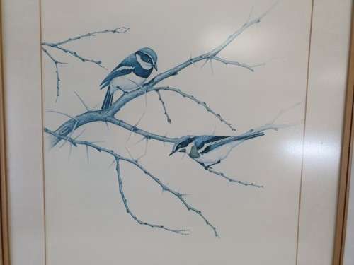 A beautiful limited wild bird print from South African artist, Bronwen Mellor! Xmas sale