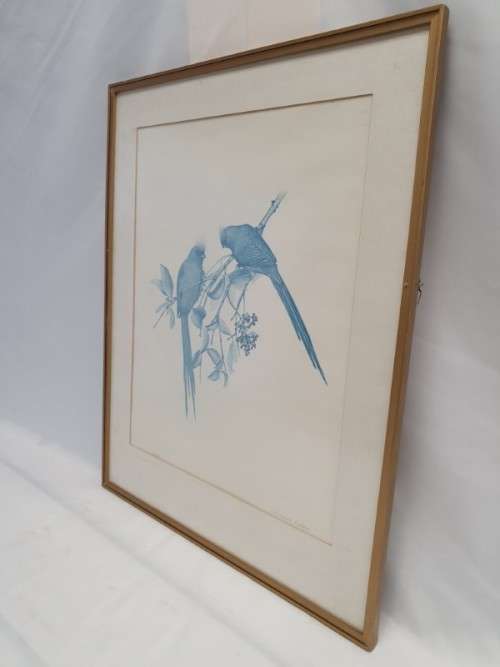 A beautiful limited bird print from SA artist, Bronwen Mellor! Xmas sale