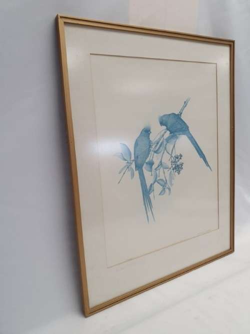 A beautiful limited bird print from SA artist, Bronwen Mellor! Xmas sale