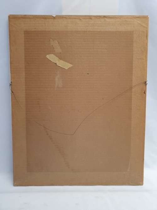 A beautiful limited bird print from SA artist, Bronwen Mellor! Xmas sale
