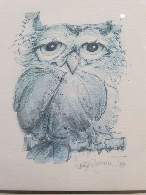 A lovely little framed print of an Owl! XMAS SALE