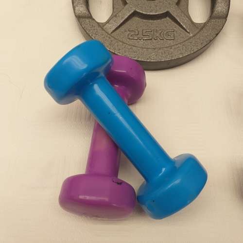 An awesome collection of assorted gym dumbbells and weights ranging in weights between 1kg and 7.5kg