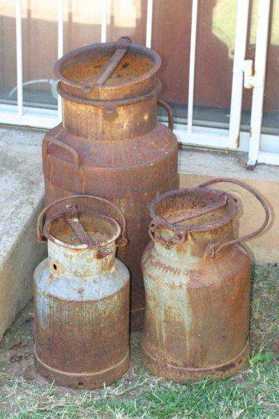 THREE OLD RUSTY MILKCANS!!! THEY ARE JUST AWESOME FOR THE GARDEN...