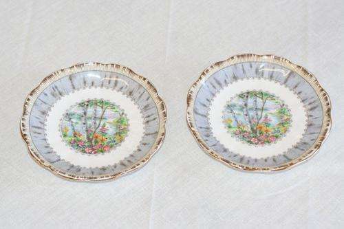 WOW!!! 2 ROYAL ALBERT 'SILVER BIRCH' BONE CHINA PLATES! BID PER PLATE... SEE MY FULL SETS ON BOB!
