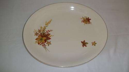 STUNNING VINTAGE ALFRED MEAKIN "AUTUMN SPLENDOUR" LARGE FOOD PLATTER IN GOOD CONDITION