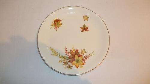 AWESOME VINTAGE ALFRED MEAKIN "AUTUMN SPLENDOUR" SET OF SIX SIDE PLATES IN GREAT CONDITION.