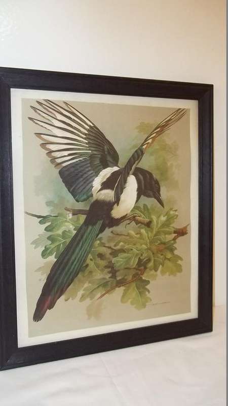 A STUNNING BRIGHTLY COLOURED FRAMED "PAINTING" PRINT OF A HUMMINGBIRD IN FLIGHT BY BASIL EDE