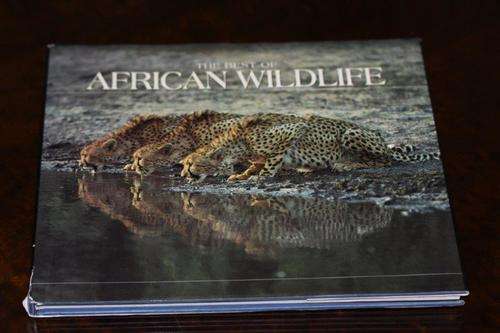 AN EXCEPTIONAL COFFEE TABLE BOOK ON AFRICAN WILDLIFE WITH THE MOST AWESOME PHOTOS EVER! FANTASTIC!!!