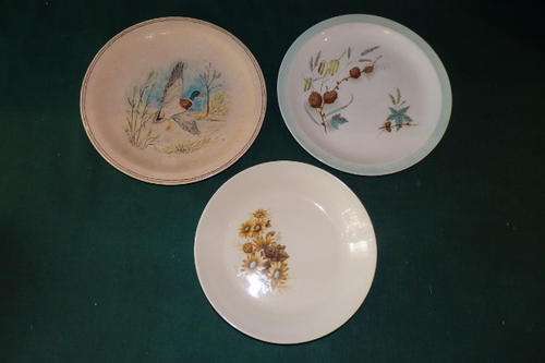 *JOB LOT* A COLLECTION OF THREE VINTAGE PORCELAIN PLATES INCLUDING AN ALFRED MEAKIN CHARMWOOD PLATE
