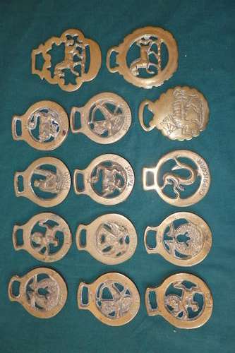 AN AWESOME COLLECTION OF FOURTEEN SOLID BRASS "HORSE BRASS" HARNESS MEDALLIONS