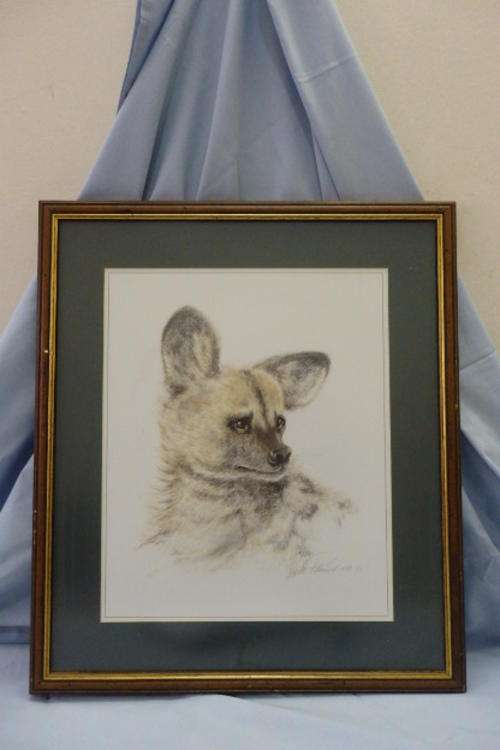 A STUNNING FRAMED (BEHIND GLASS) PRINT OF AN AFRICAN WILD DOG WITH AMAZING DETAILING