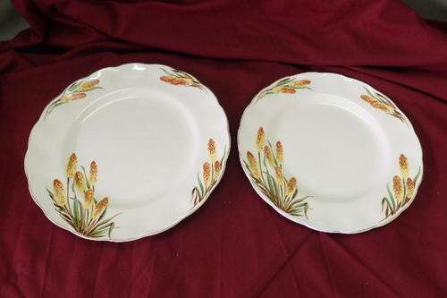 TWO WONDERFUL VINTAGE GRINDLEY OF ENGLAND CREAMPETAL "FIRE POKER" FLOWER PATTERN PLATES bid/plate