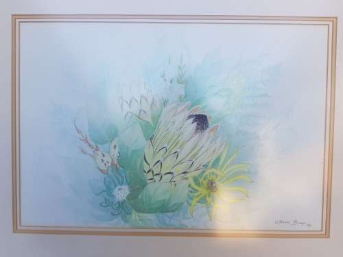 A beautiful Cilliers Burger Protea painting framed behind glass