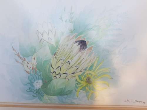 A beautiful Cilliers Burger Protea painting framed behind glass