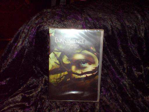Evanescence - Anywhere but Home