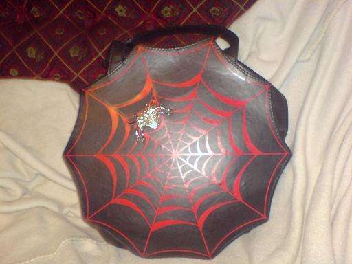 Spider Web Bag