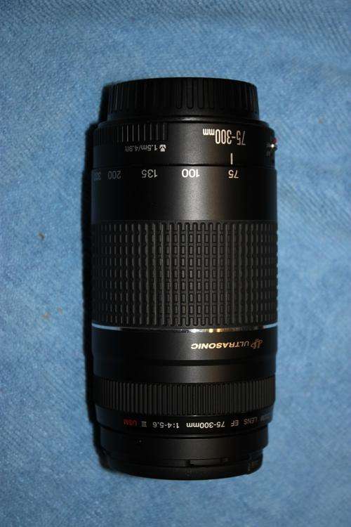 Canon 75mm - 300mm Ultrasonic lens